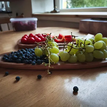 Appartamento Cozy With A Fireplace In Loksa