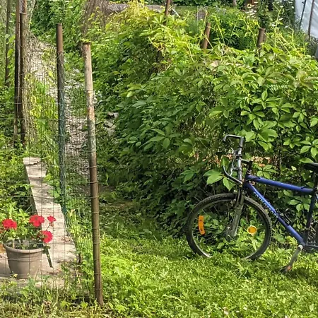 דירה Cozy With A Fireplace In