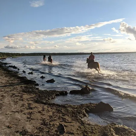 דירה Cozy With A Fireplace In *