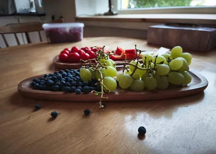 Apartment Cozy With A Fireplace In Loksa