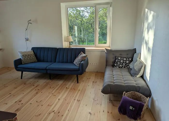 Cozy With A Fireplace In Apartment Loksa