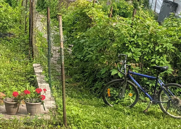 Apartment Cozy With A Fireplace In