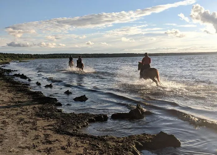 Apartment Cozy With A Fireplace In *